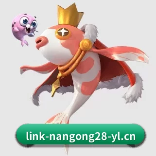 国际化进程（NG28）